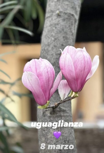 8 marzo, la Giornata Internazionale della Donna: il significato di una data simbolica per una battaglia da portare avanti tutti i giorni. «Affinché il mondo diventi a colori per tutte le Donne» filippa lagerback sceglie il viola, colore che rappresenta rappresenta la dignità e la giustizia sociale per le donne