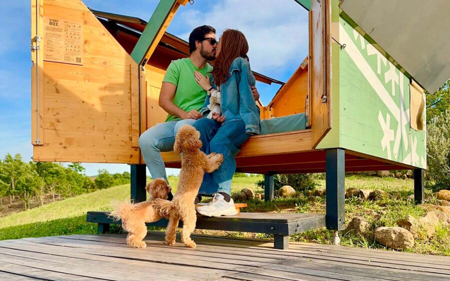 Matteo Riva e Irene Pignieri di 'Matrimonio a prima vista' si sono sposati due volte: «Dicendoci sì al buio abbiamo trovato l'amore nel modo più assurdo, ma le seconde nozze sono state quelle vere, scelte con il cuore e senza telecamere». E ora sognano un figlio L'INTERVISTA ESCLUSIVA Matteo Riva e Irene Pignieri, presto un figlio in arrivo